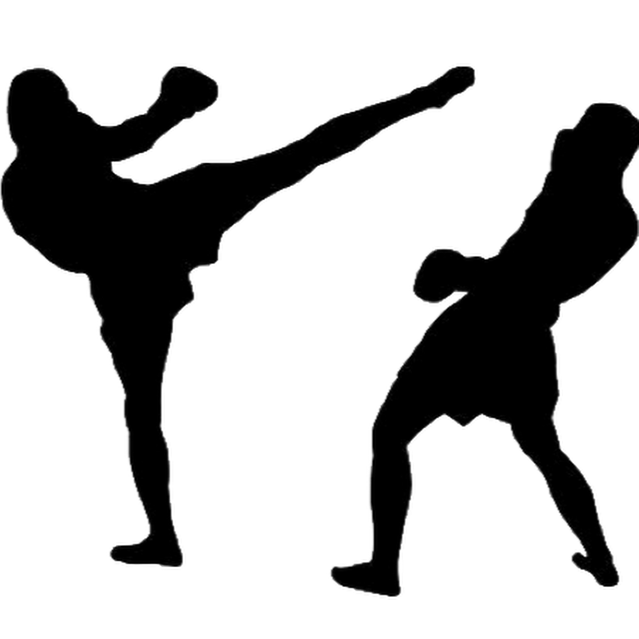 Unrivalled MMA photo